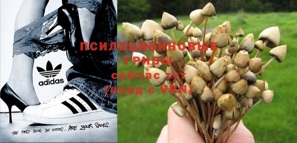 mdma Нефтекумск