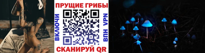 где можно купить Дубовка Галлюциногенные грибы Psilocybe